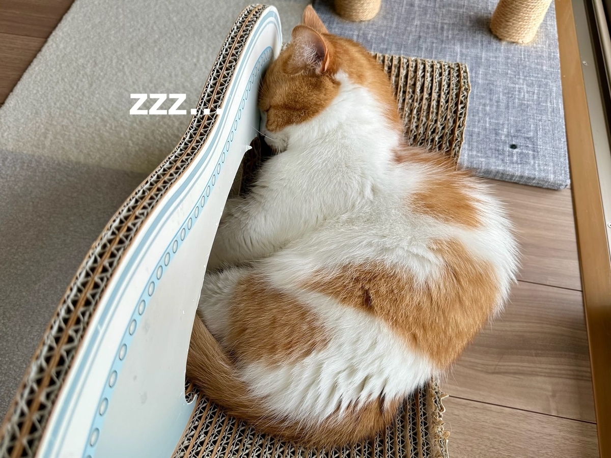 お昼寝るるちゃん2