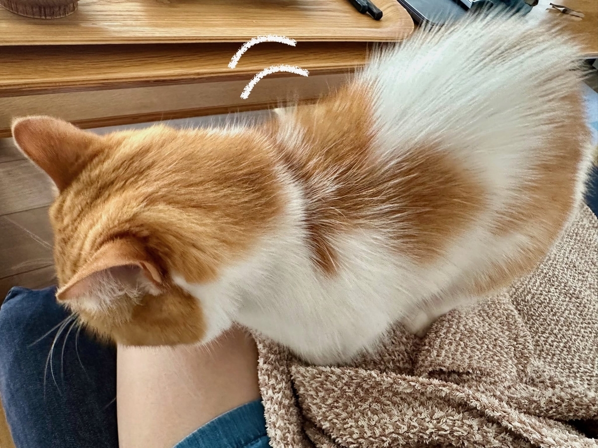 ふみふみるるちゃん1