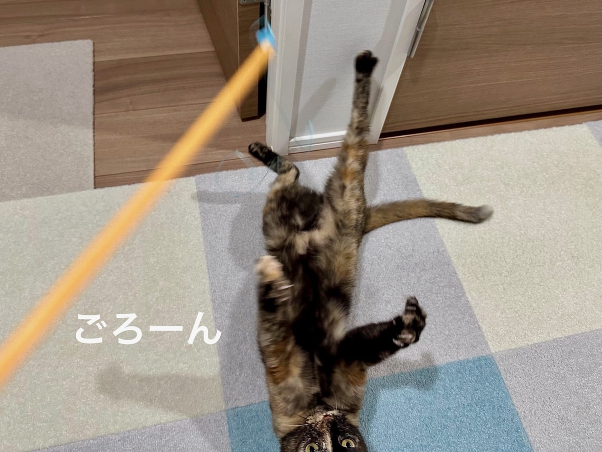 おてんばもなちゃん3
