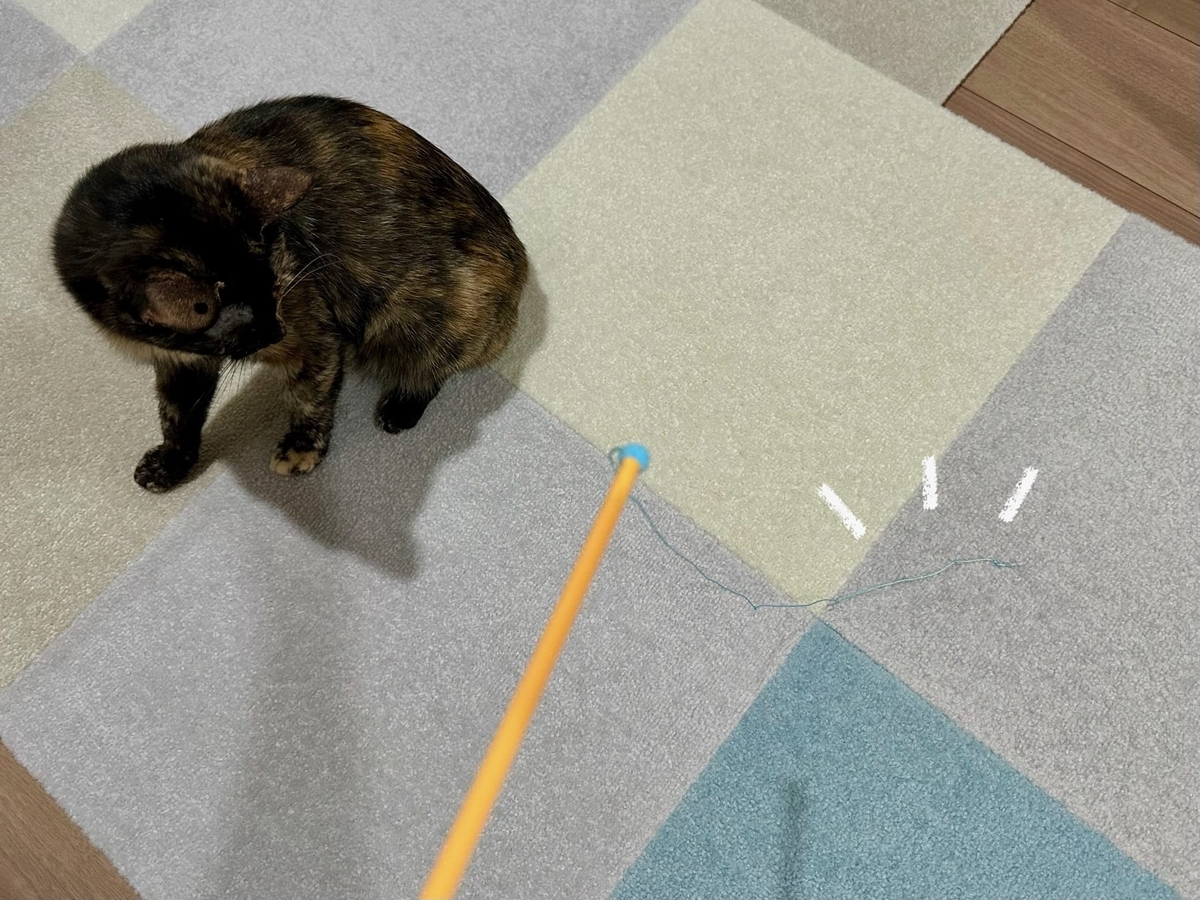 おてんばもなちゃん1