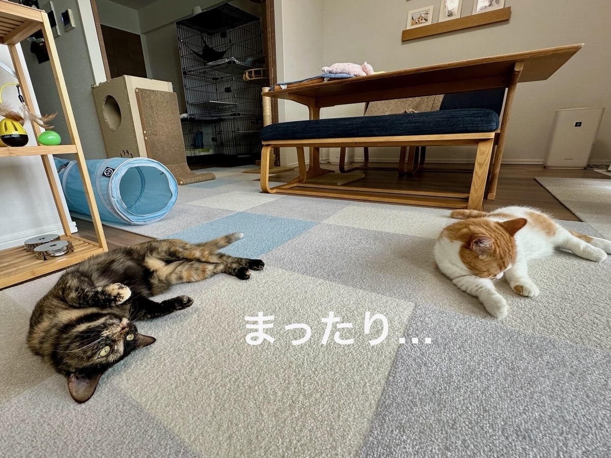 まったりタイムのるるもな1