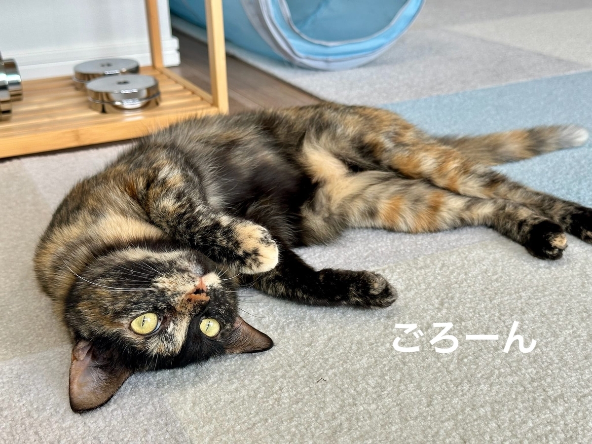 まったりタイムのるるもな2