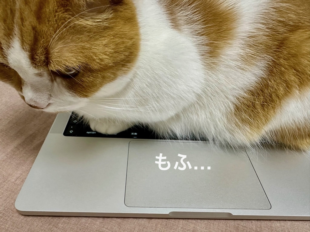 パソコンの上のるるちゃん2