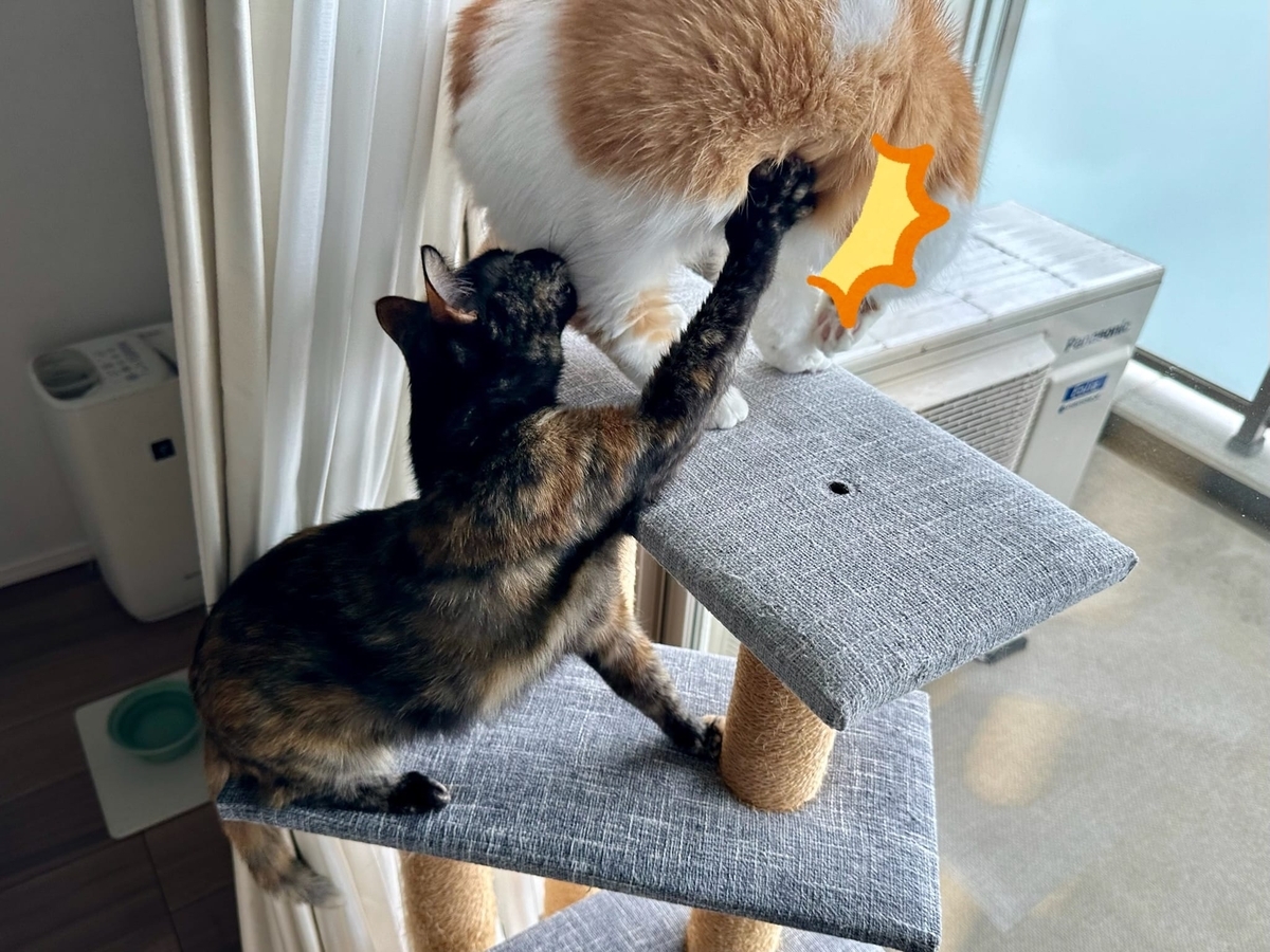 もなパンチ