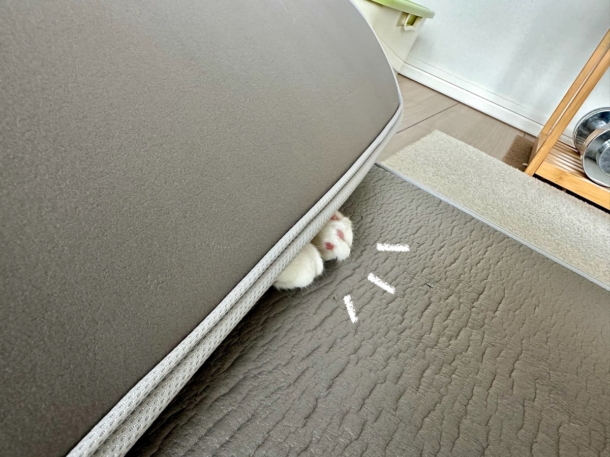 ひょっこりお手手