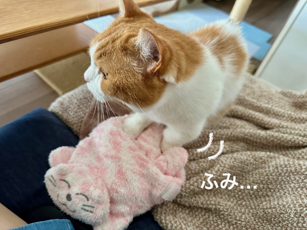 ふみふみるるちゃん1