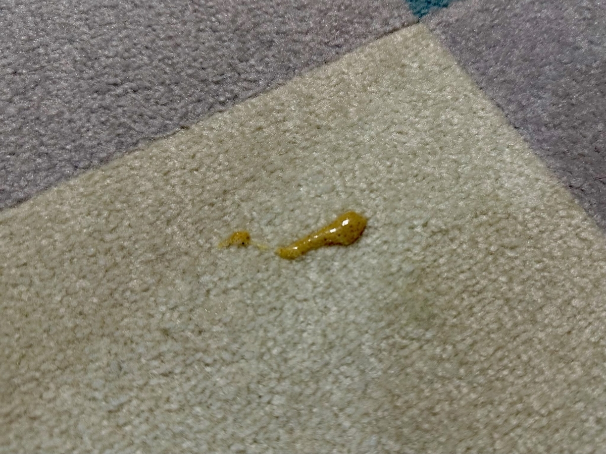 るるちゃんの嘔吐1