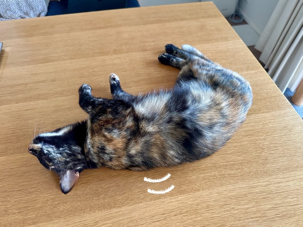 ごろごろもなちゃん1