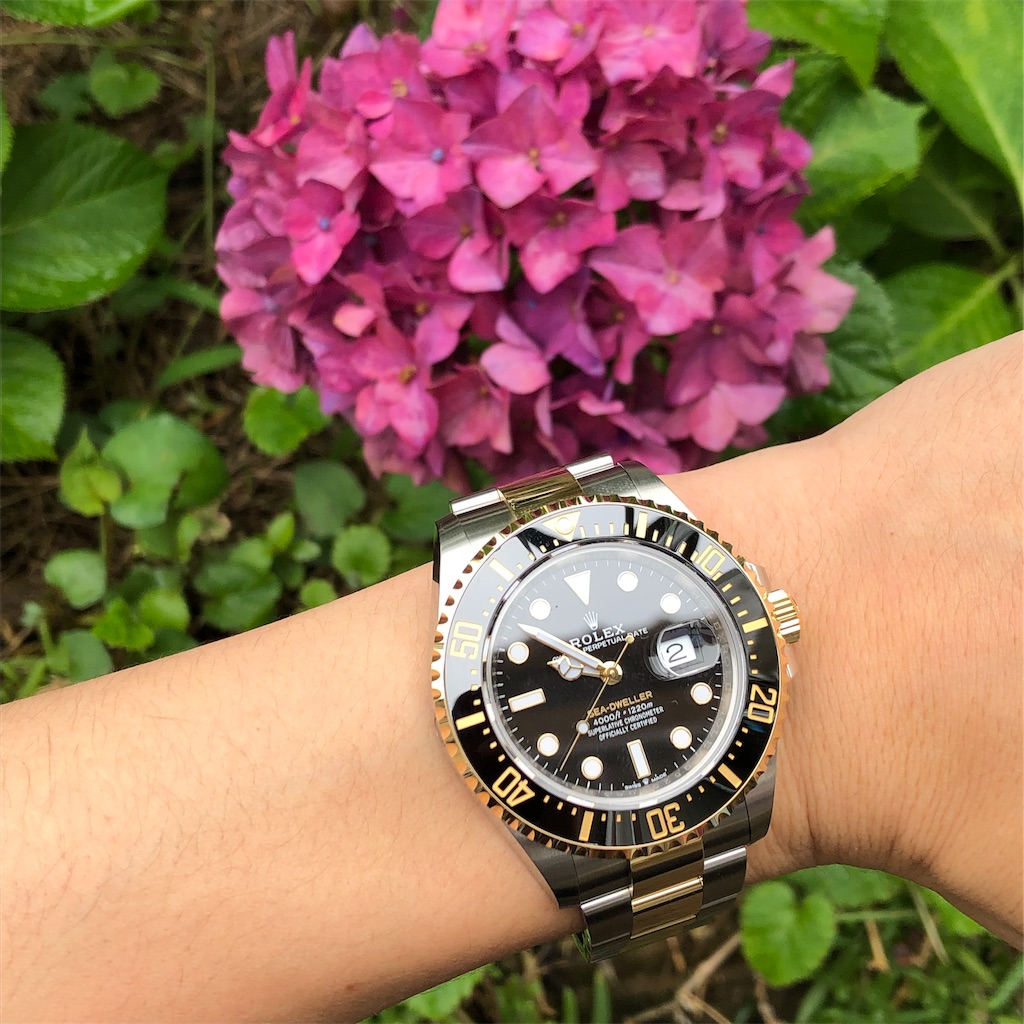 f:id:tin534:20190724150550j:image