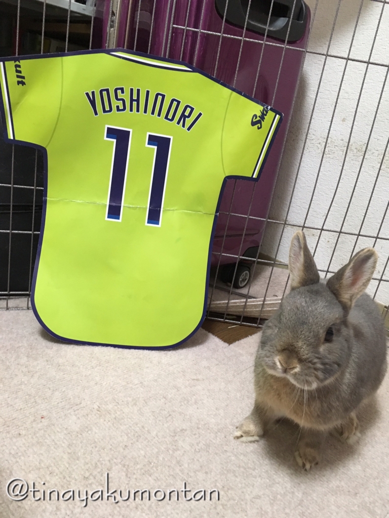 f:id:tinayakumontan:20160710195115j:plain