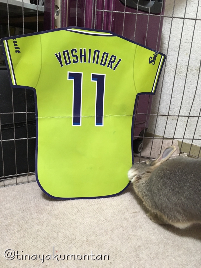 f:id:tinayakumontan:20160710195333j:plain