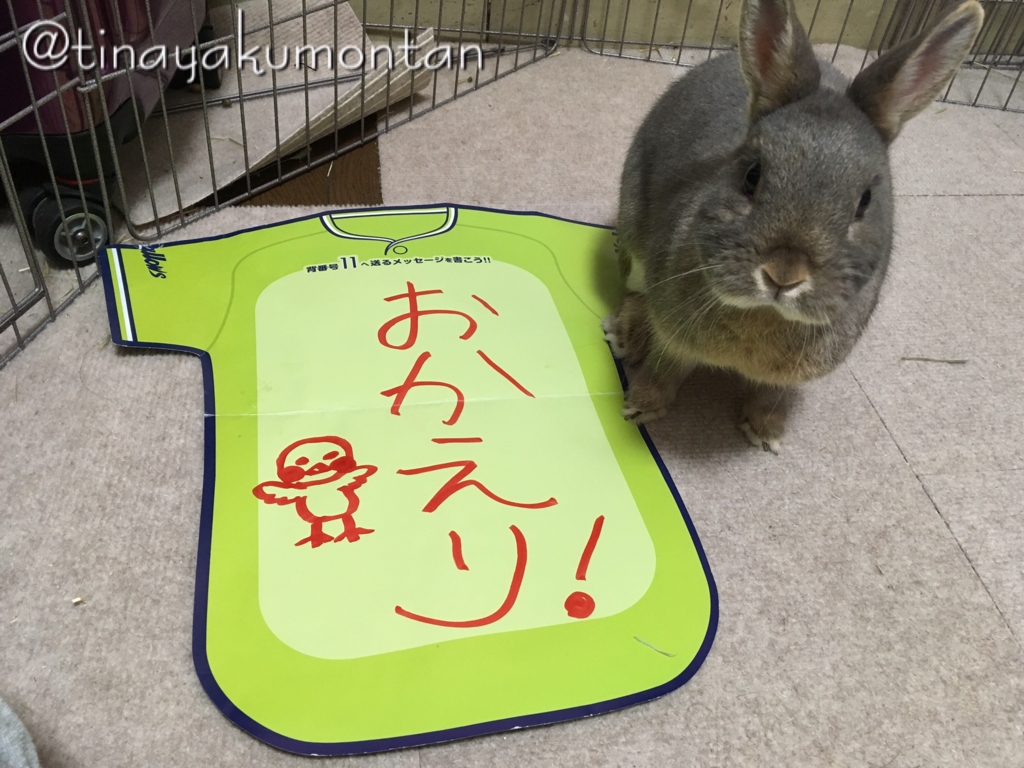 f:id:tinayakumontan:20160710195459j:plain