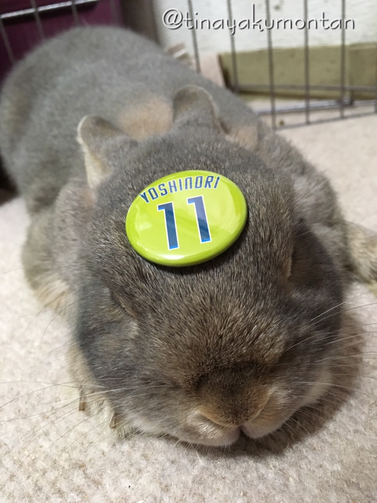 f:id:tinayakumontan:20160710200237j:plain