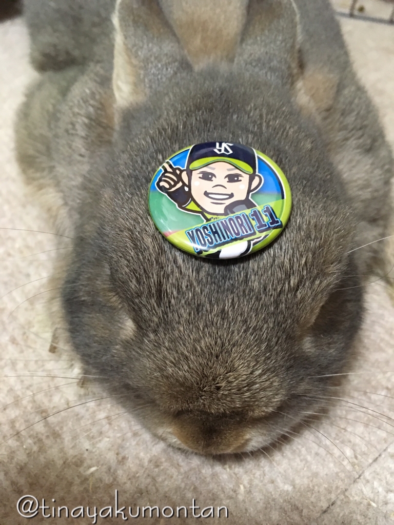 f:id:tinayakumontan:20160710200314j:plain