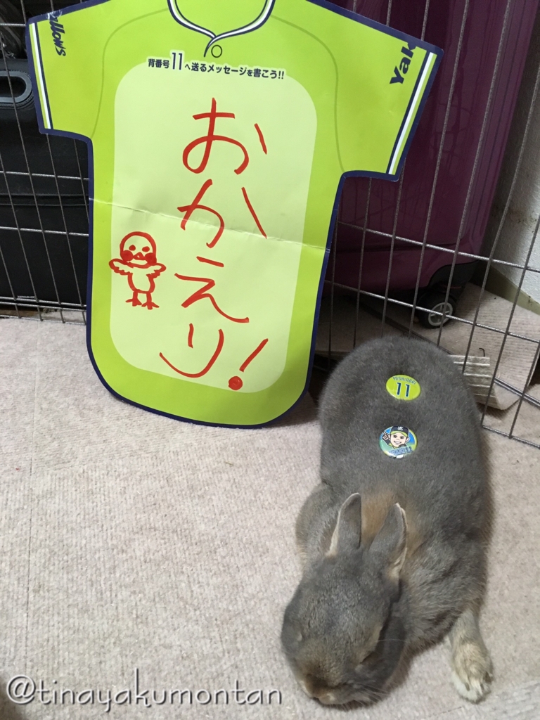 f:id:tinayakumontan:20160710200506j:plain