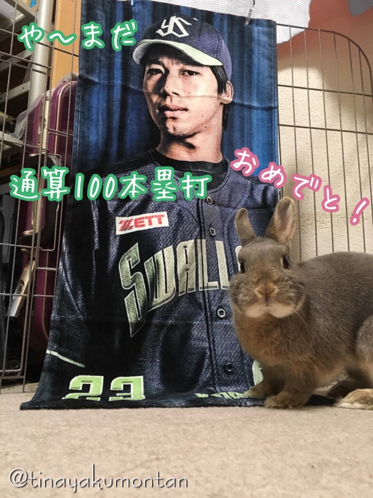 f:id:tinayakumontan:20160710203110j:plain