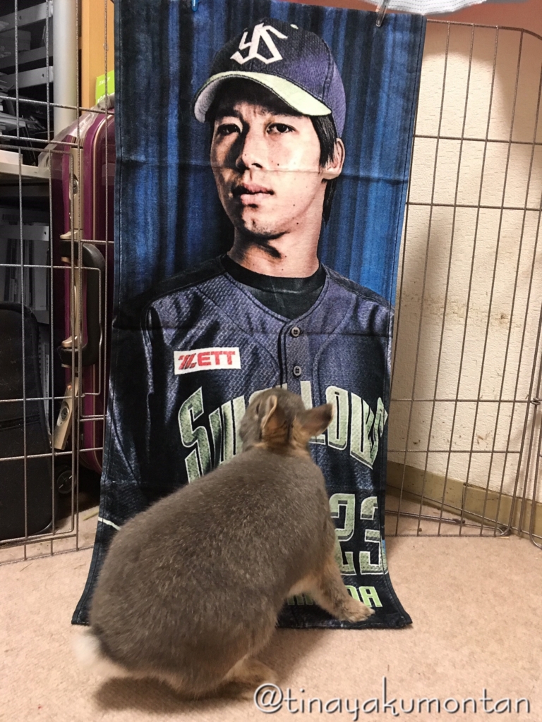 f:id:tinayakumontan:20160710203211j:plain