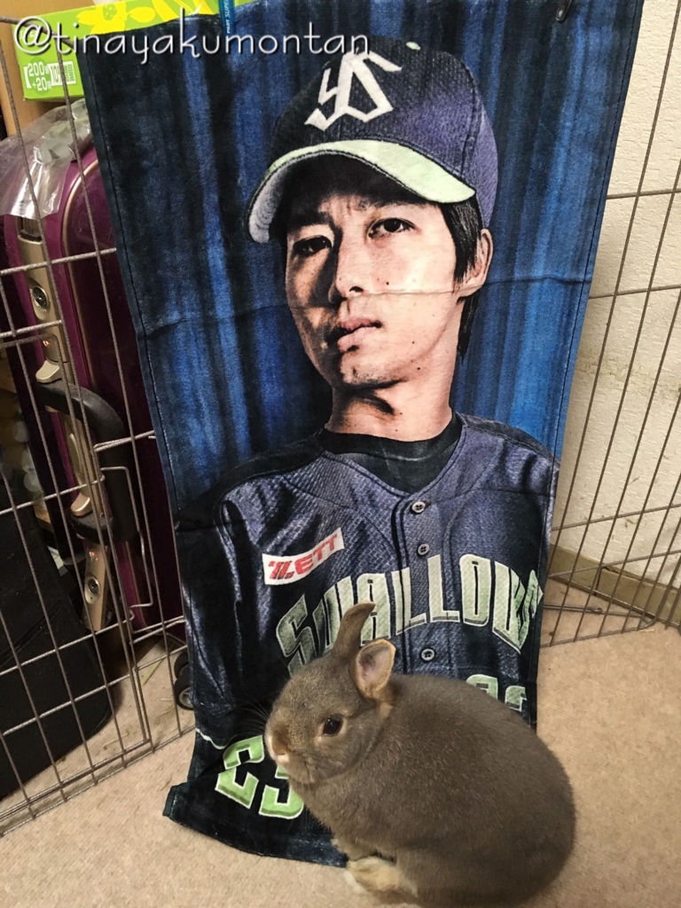 f:id:tinayakumontan:20160710203404j:plain