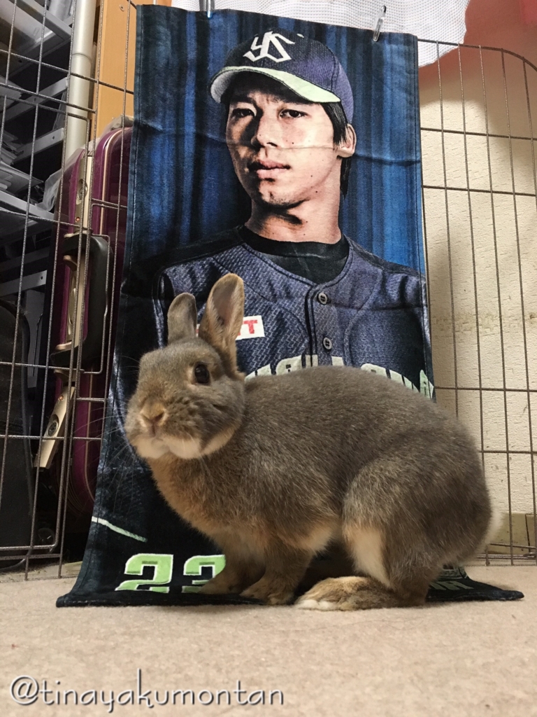 f:id:tinayakumontan:20160710203433j:plain