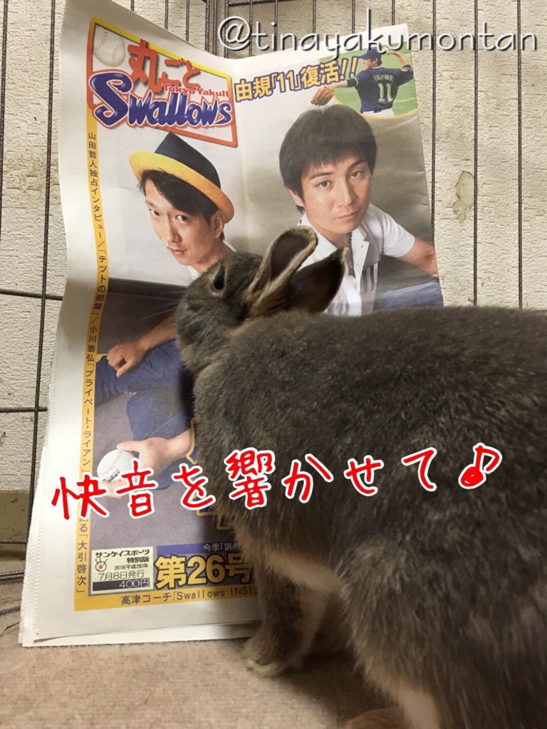 f:id:tinayakumontan:20160710203737j:plain