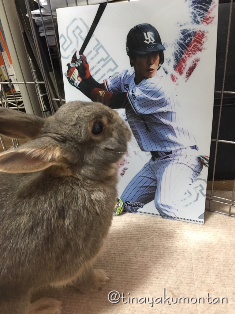 f:id:tinayakumontan:20160804215412j:plain