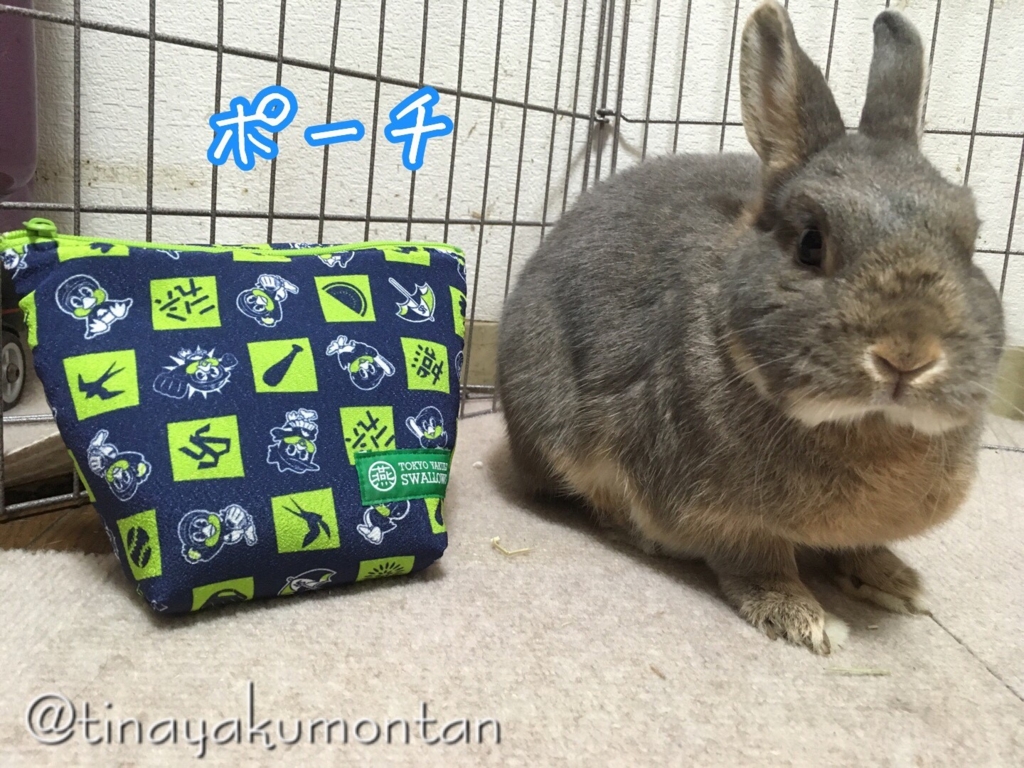 f:id:tinayakumontan:20160805214912j:plain