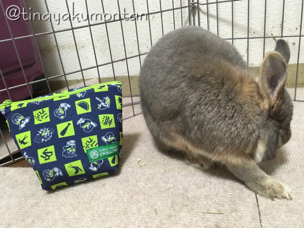 f:id:tinayakumontan:20160805215143j:plain