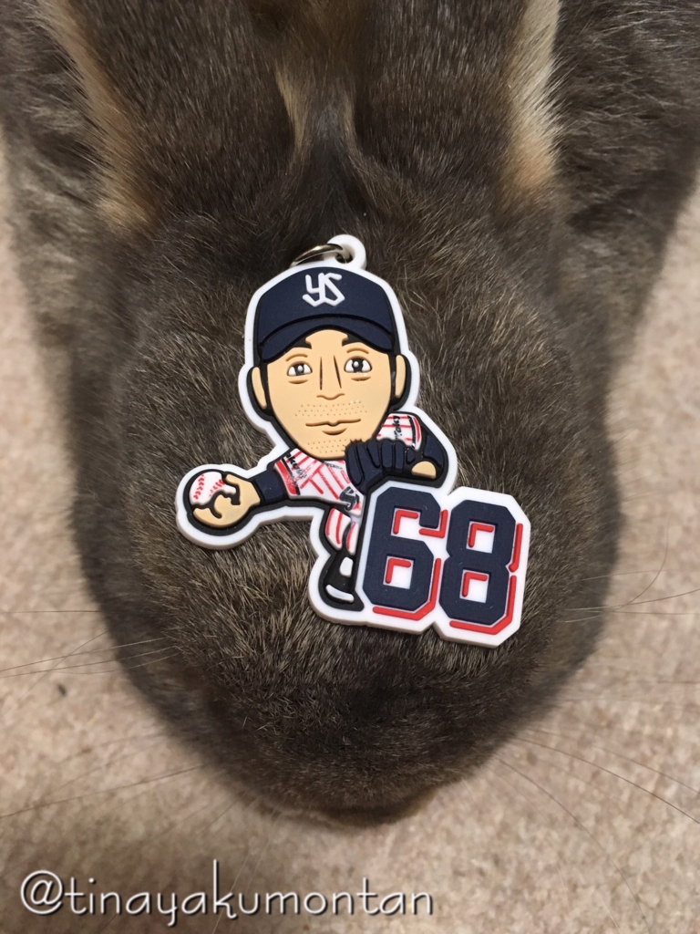 f:id:tinayakumontan:20160806231022j:plain