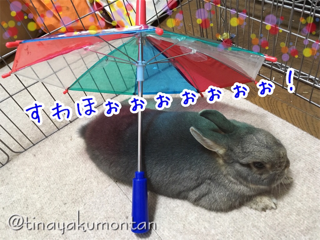 f:id:tinayakumontan:20160811232448j:image f:id:tinayakumontan:20160811232448j:image