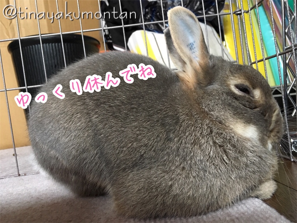 f:id:tinayakumontan:20160811232654j:image f:id:tinayakumontan:20160811232654j:image