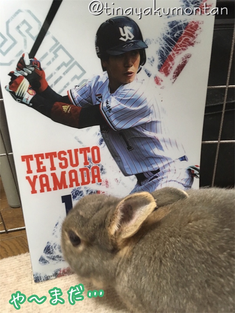 f:id:tinayakumontan:20160811233823j:image f:id:tinayakumontan:20160811233823j:image