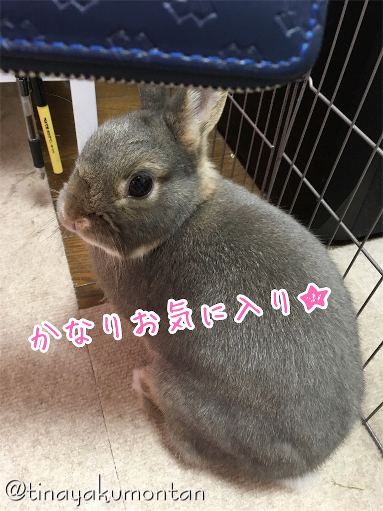 f:id:tinayakumontan:20160814130938j:image