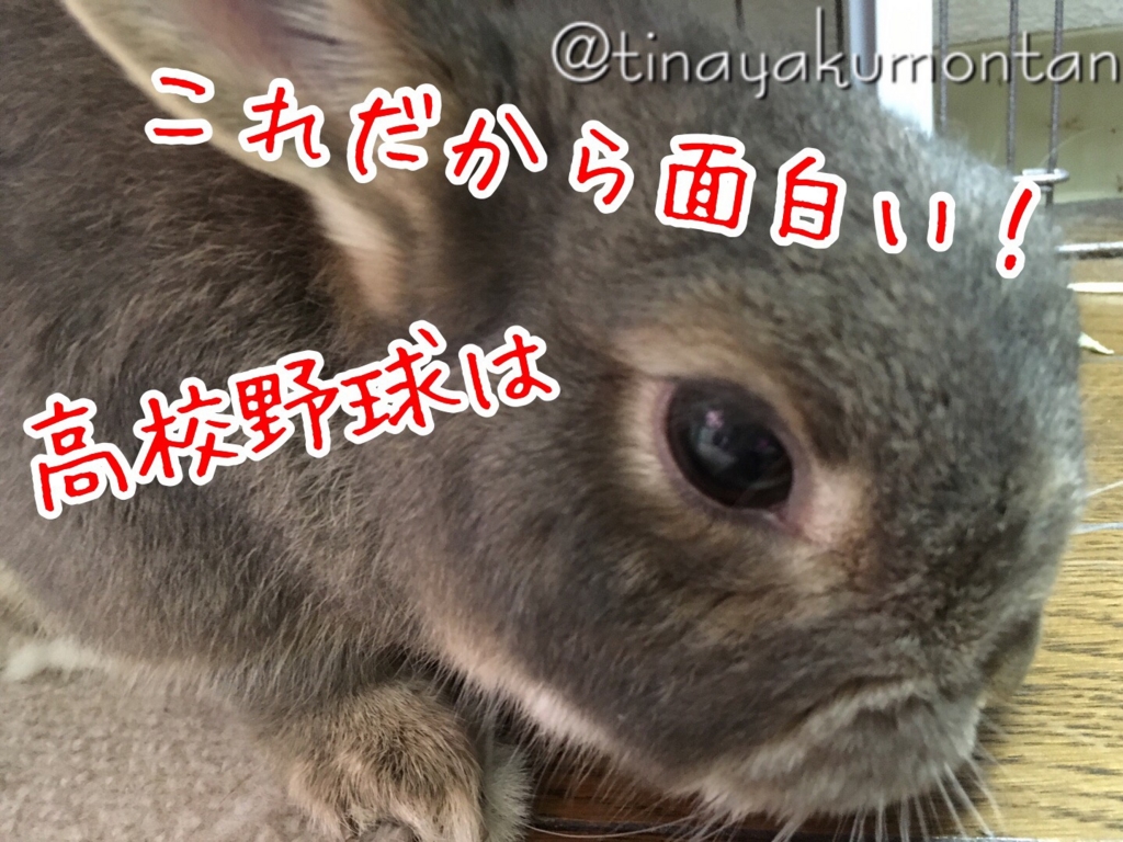 f:id:tinayakumontan:20160814163200j:plain