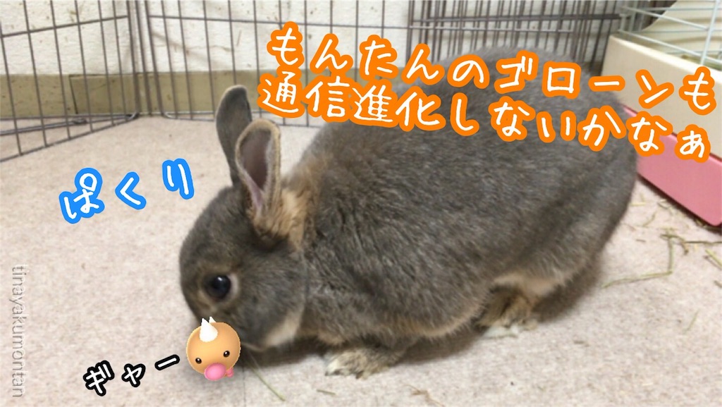f:id:tinayakumontan:20160814211156j:image
