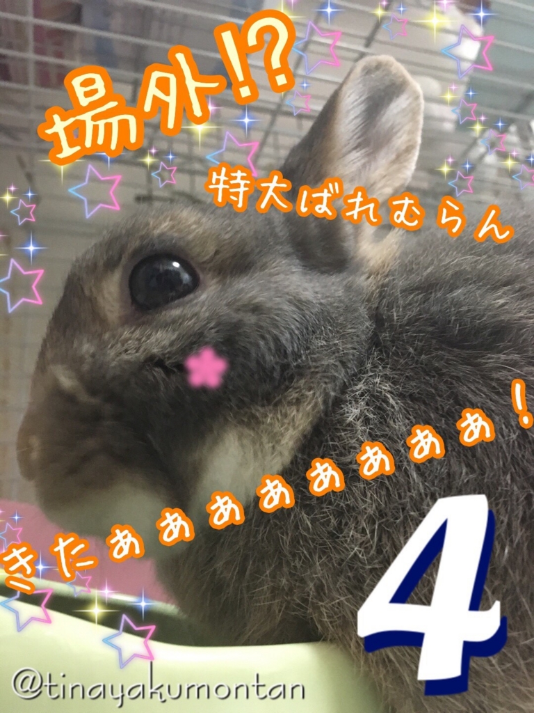 f:id:tinayakumontan:20160814213735j:plain