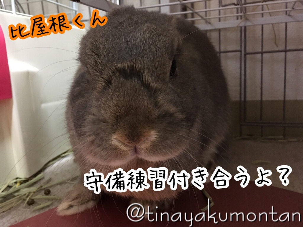 f:id:tinayakumontan:20160825222213j:plain