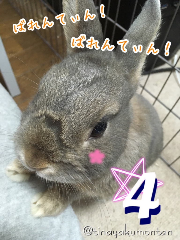 f:id:tinayakumontan:20160825222727j:plain