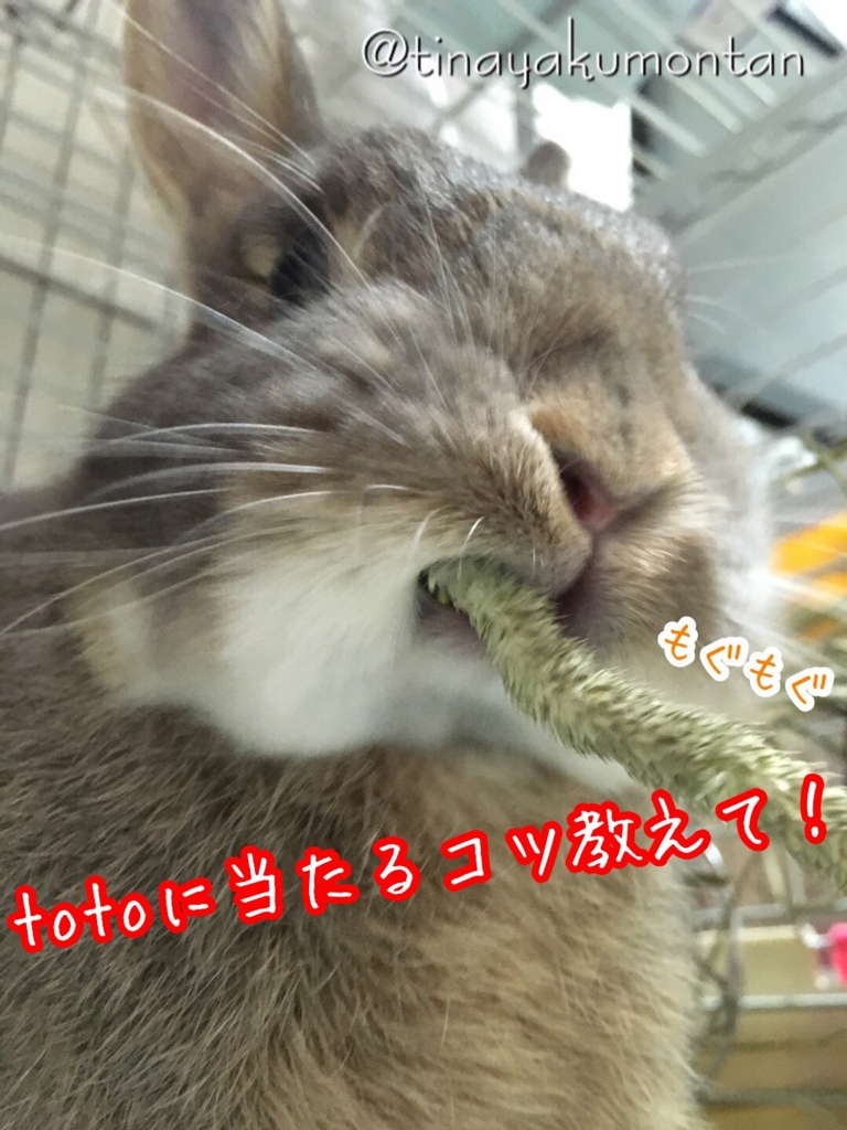 f:id:tinayakumontan:20160827234834j:plain