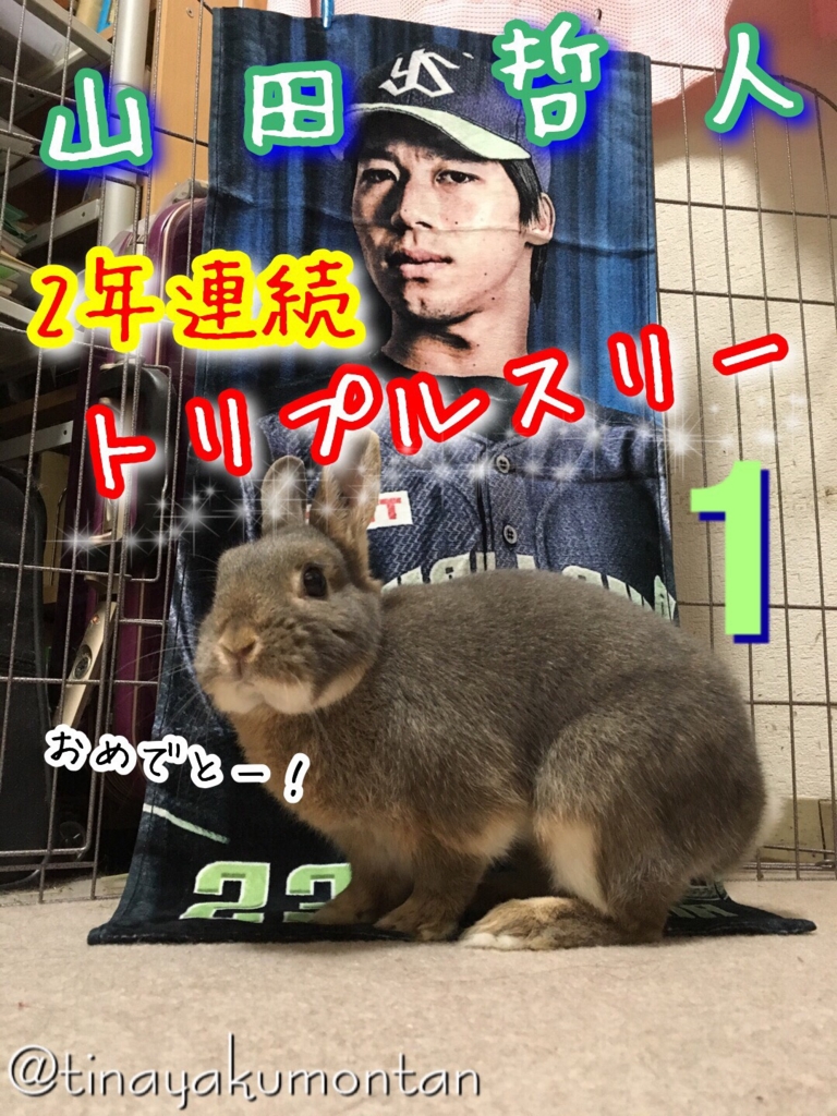 f:id:tinayakumontan:20160828190653j:plain