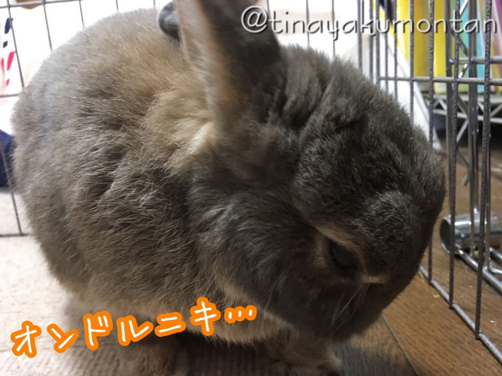 f:id:tinayakumontan:20160828212434j:plain