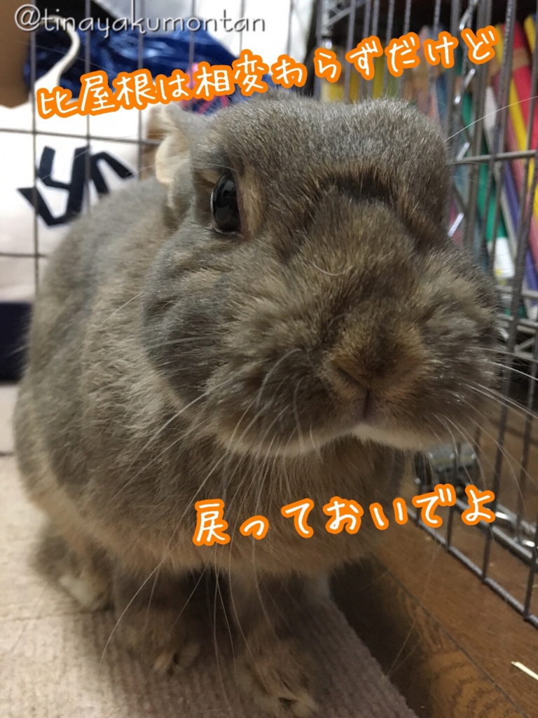 f:id:tinayakumontan:20160828212448j:plain