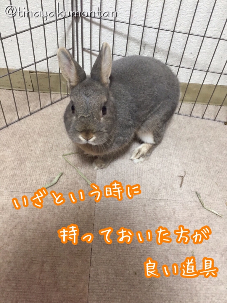f:id:tinayakumontan:20160906224801j:plain