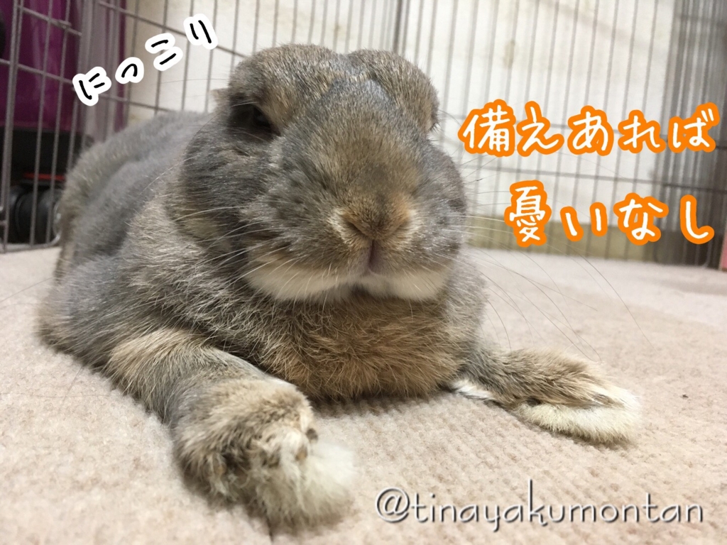 f:id:tinayakumontan:20160906224821j:plain