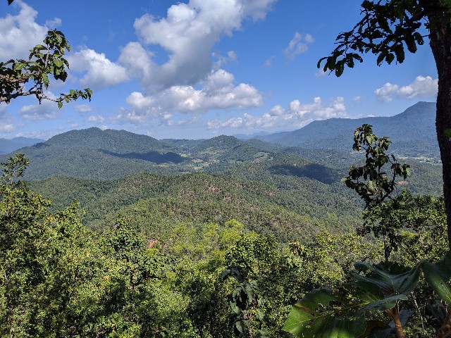 f:id:tindul-naozane:20191123121721j:image