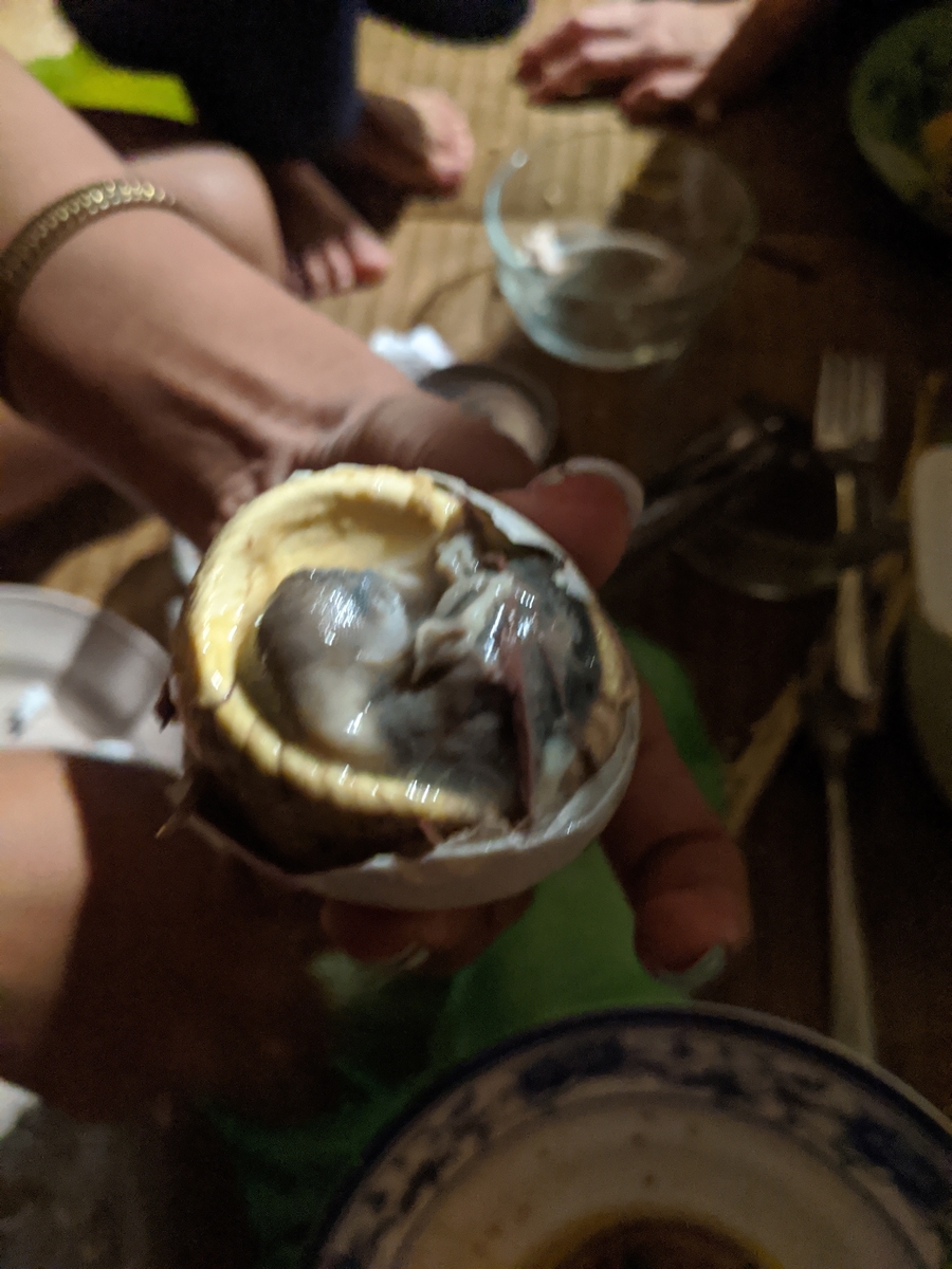 f:id:tindul-naozane:20191209233917j:plain