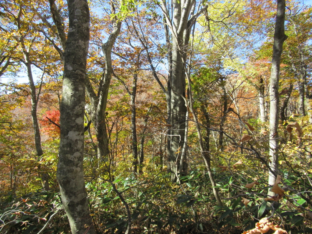 f:id:tingisuhan:20171102181651j:plain