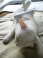 20110531145800