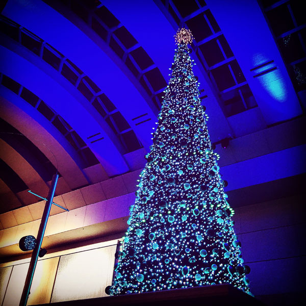 f:id:tinker6ell:20151226223756j:image