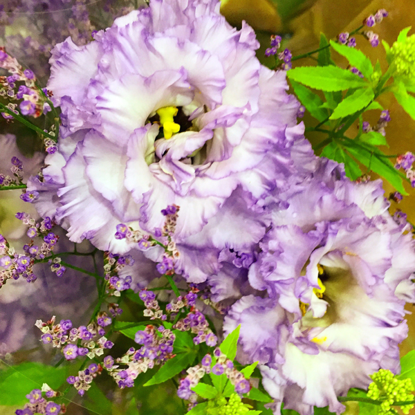 f:id:tinker6ell:20160923001351j:image