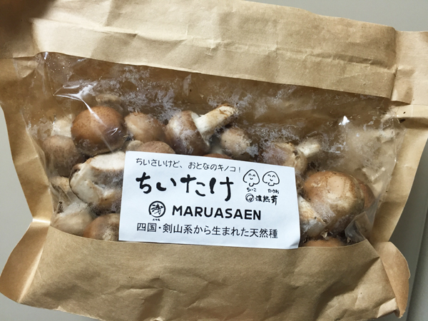 f:id:tinker6ell:20170113234812j:image